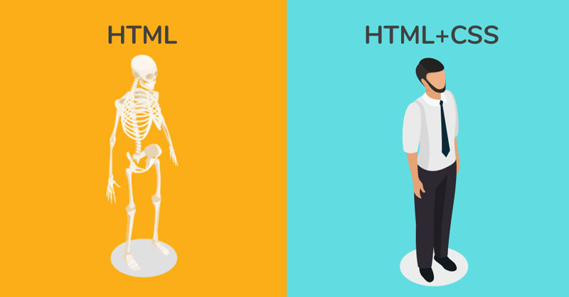 Tổng quan các thẻ trong HTML và CSS
