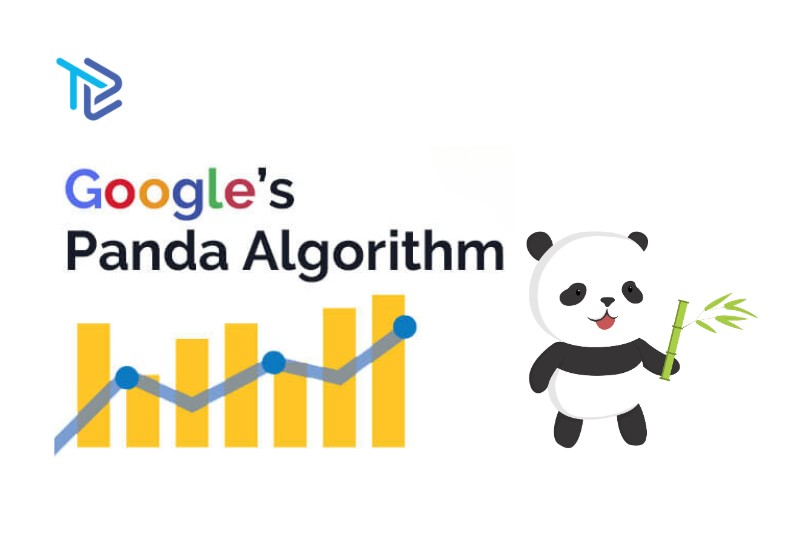 Theo dõi và cập nhật các thay đổi của thuật toán Panda