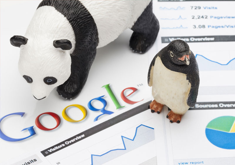 Google Penguin ra đời như thế nào?